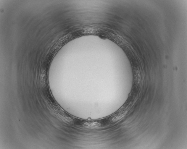 X0000069360557200606021456