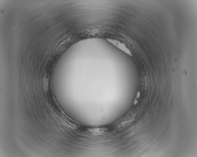 X0000069360558200606021456