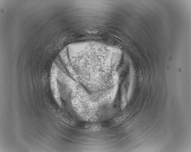 X0000069360559200606021456