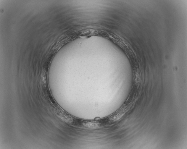 X0000069360561200606021456