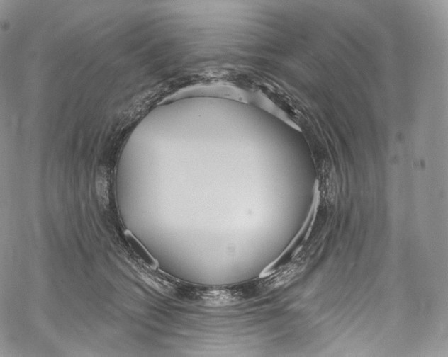 X0000069360562200606021456