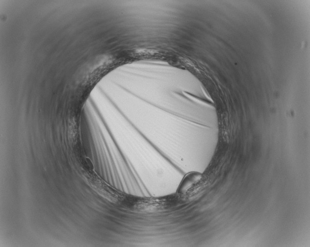 X0000069360563200606021456