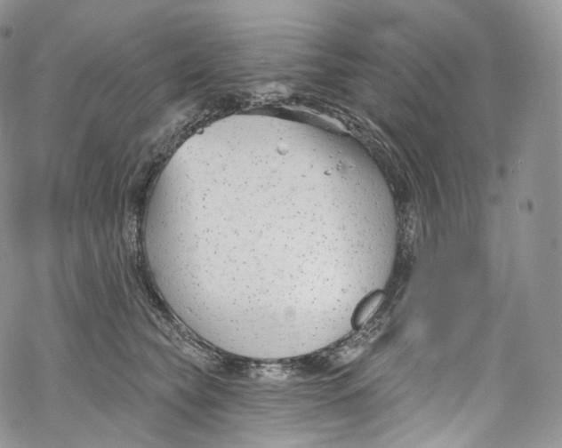 X0000069360565200606021456