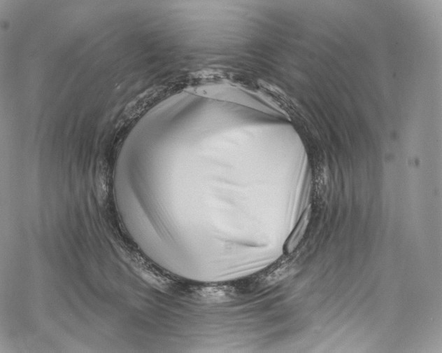 X0000069360566200606021456