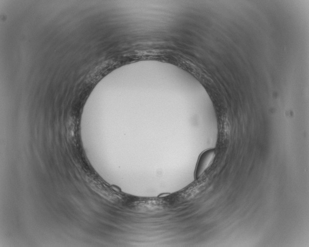 X0000069360567200606021456