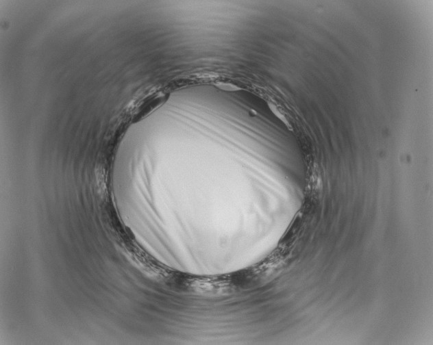 X0000069360568200606021456