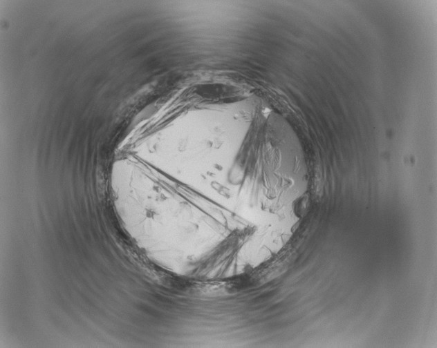 X0000069360569200606021456