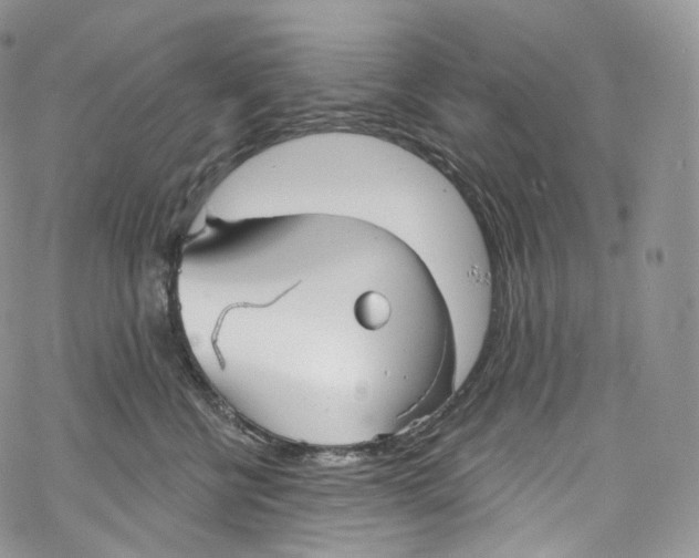 X0000069360570200606021456