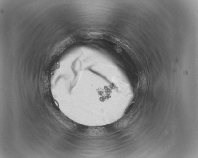 X0000069360571200606021456