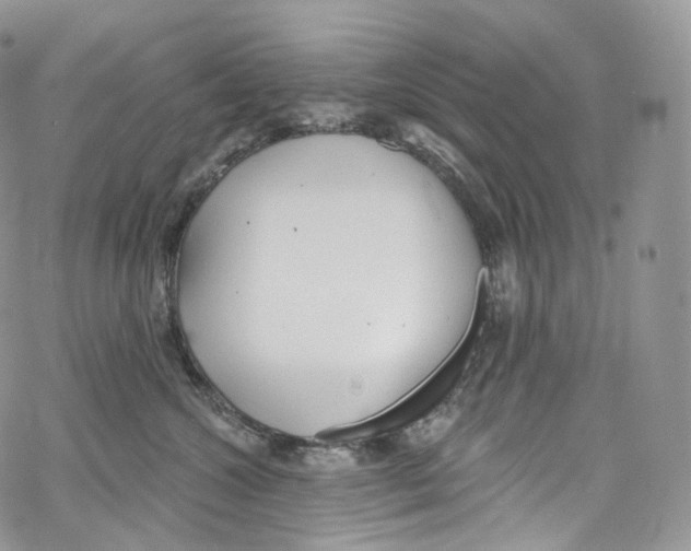 X0000069360572200606021456