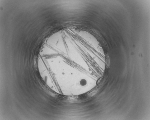 X0000069360573200606021456