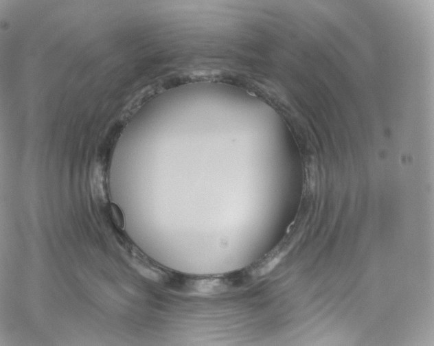 X0000069360575200606021456