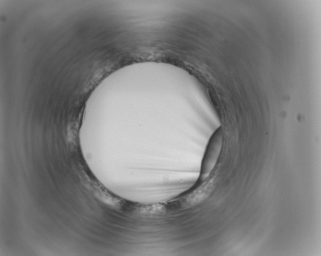 X0000069360576200606021456