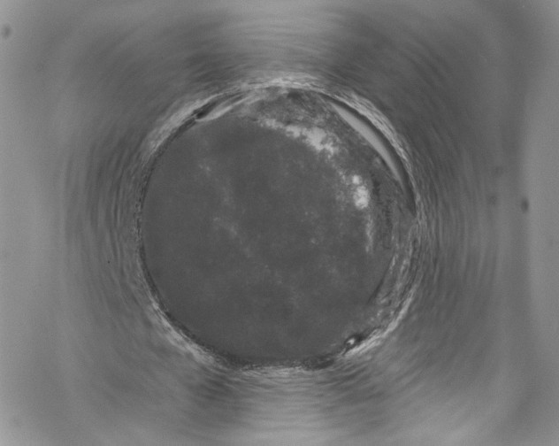 X0000069360577200606021455