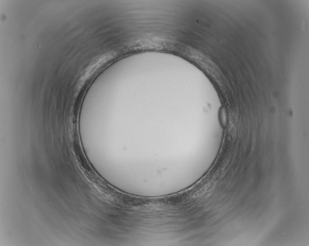 X0000069360578200606021455