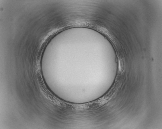 X0000069360579200606021455