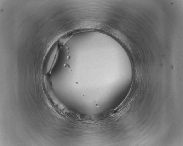 X0000069360580200606021455