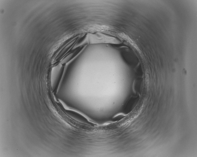 X0000069360581200606021455