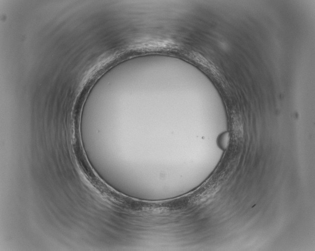 X0000069360582200606021455