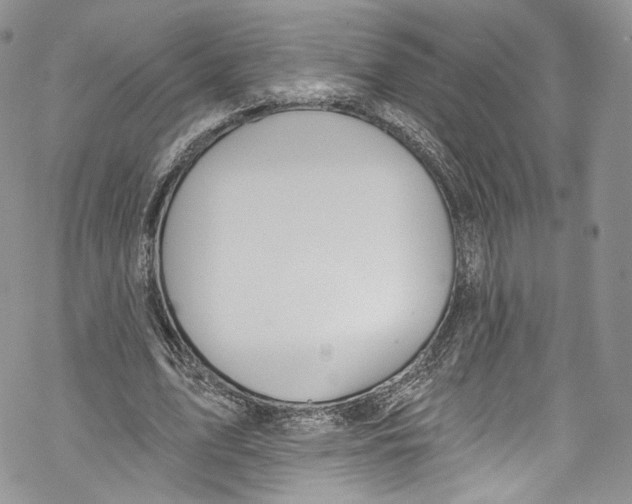 X0000069360583200606021455