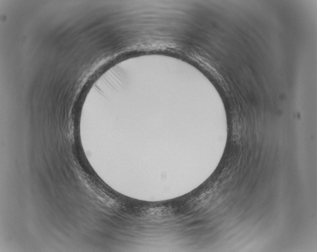 X0000069360584200606021455