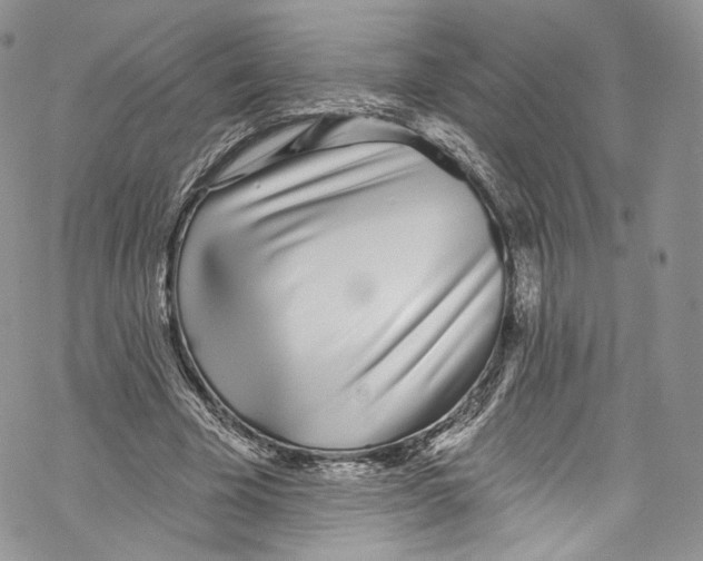 X0000069360585200606021455