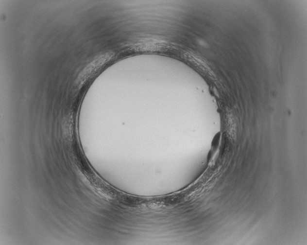 X0000069360586200606021455