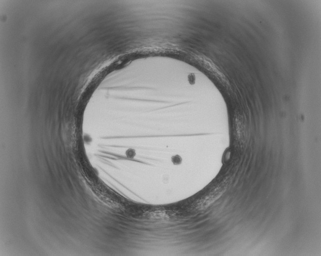 X0000069360588200606021455