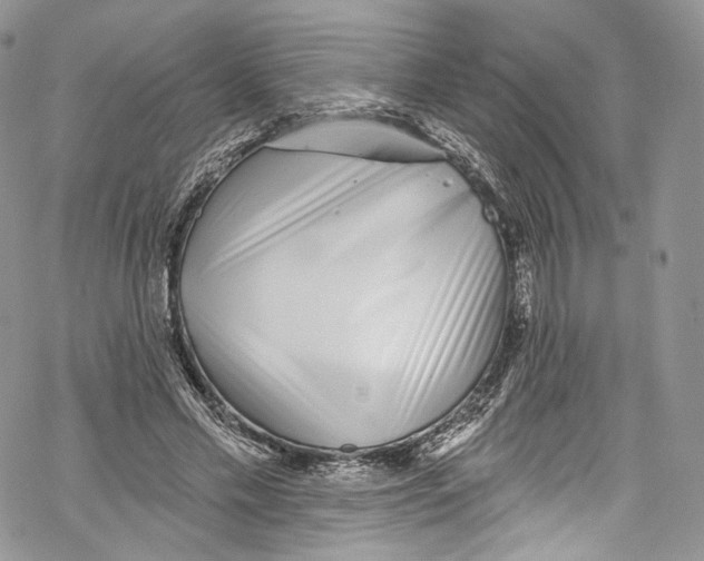 X0000069360589200606021455