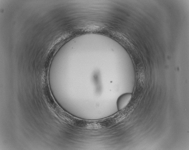 X0000069360591200606021455