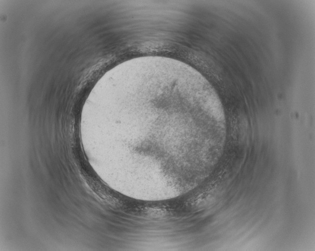 X0000069360592200606021455