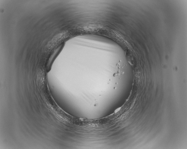 X0000069360593200606021455