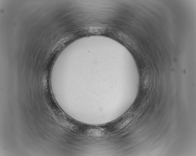 X0000069360595200606021455