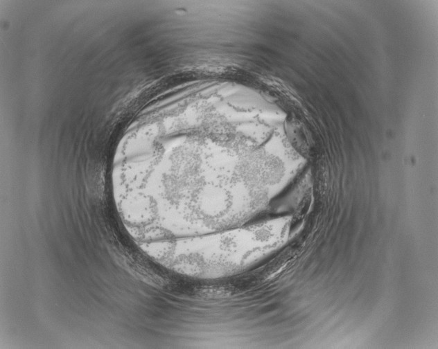 X0000069360596200606021455