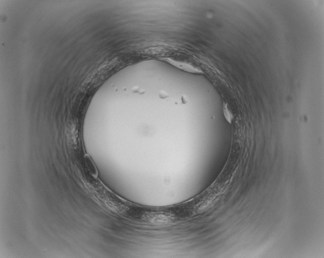 X0000069360597200606021455