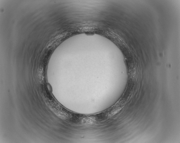 X0000069360599200606021455