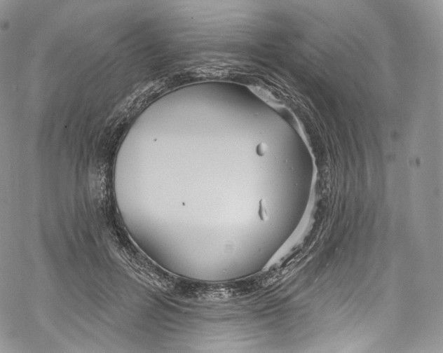 X0000069360600200606021455