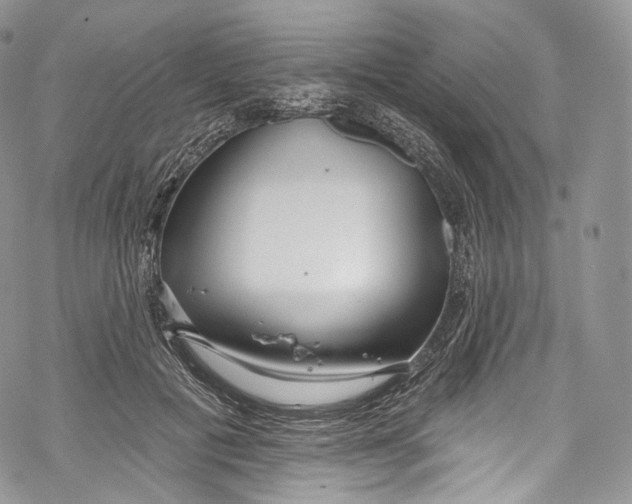 X0000069360601200606021455