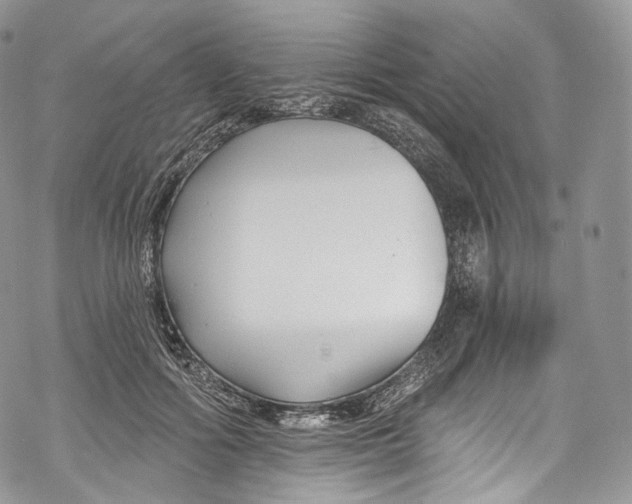 X0000069360602200606021455