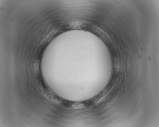 X0000069360603200606021455