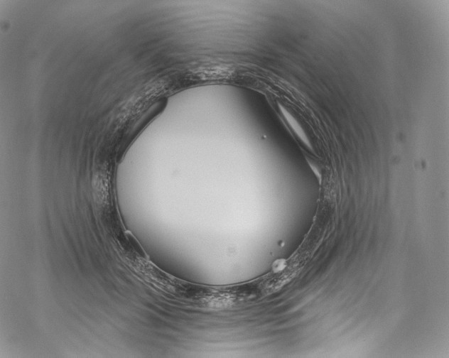 X0000069360604200606021455