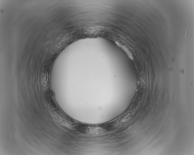 X0000069360605200606021455