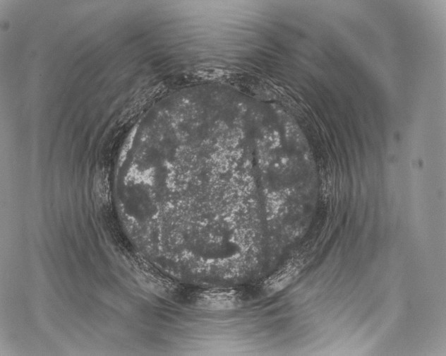 X0000069360606200606021455