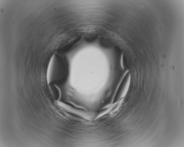 X0000069360609200606021455