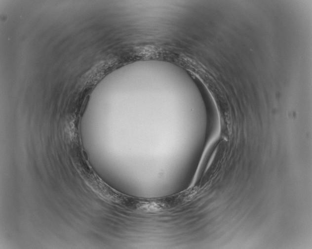 X0000069360611200606021455