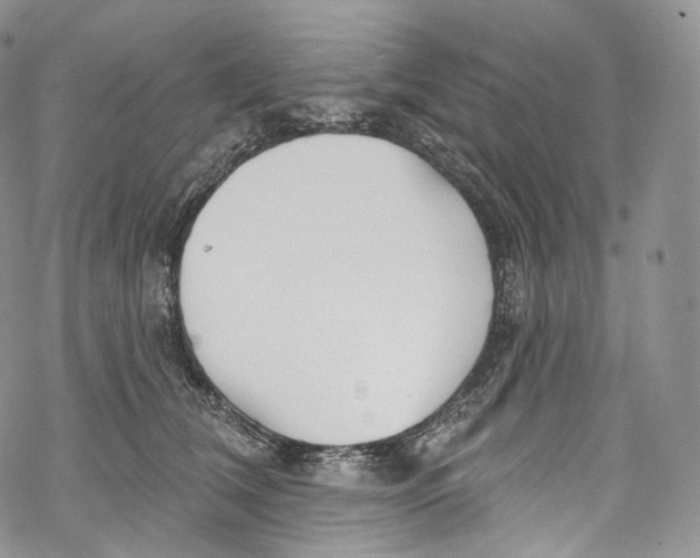 X0000069360612200606021455