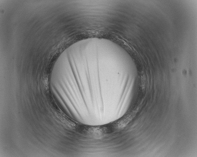 X0000069360613200606021455