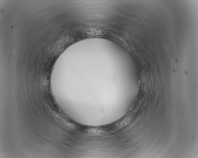 X0000069360614200606021455