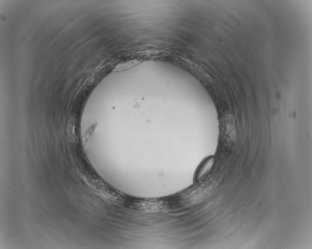 X0000069360615200606021454