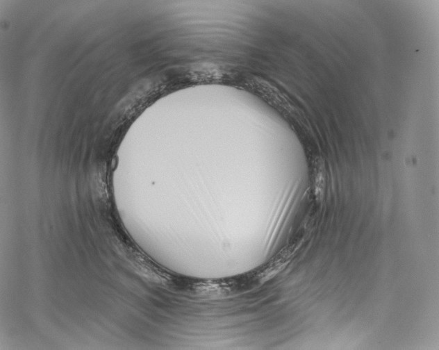 X0000069360616200606021454